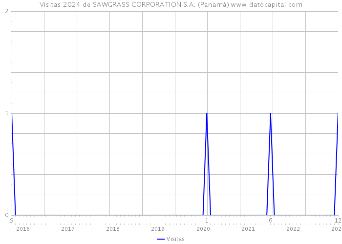 Visitas 2024 de SAWGRASS CORPORATION S.A. (Panamá) 