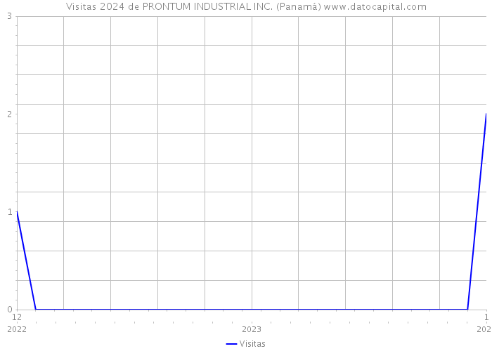 Visitas 2024 de PRONTUM INDUSTRIAL INC. (Panamá) 