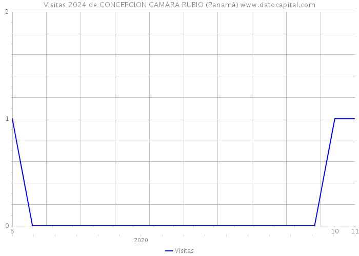 Visitas 2024 de CONCEPCION CAMARA RUBIO (Panamá) 