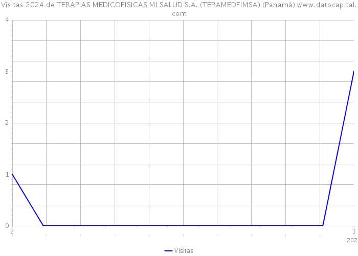 Visitas 2024 de TERAPIAS MEDICOFISICAS MI SALUD S.A. (TERAMEDFIMSA) (Panamá) 