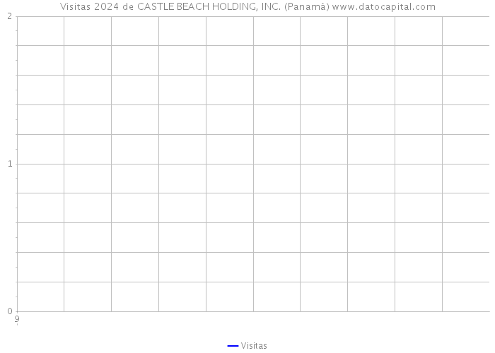 Visitas 2024 de CASTLE BEACH HOLDING, INC. (Panamá) 