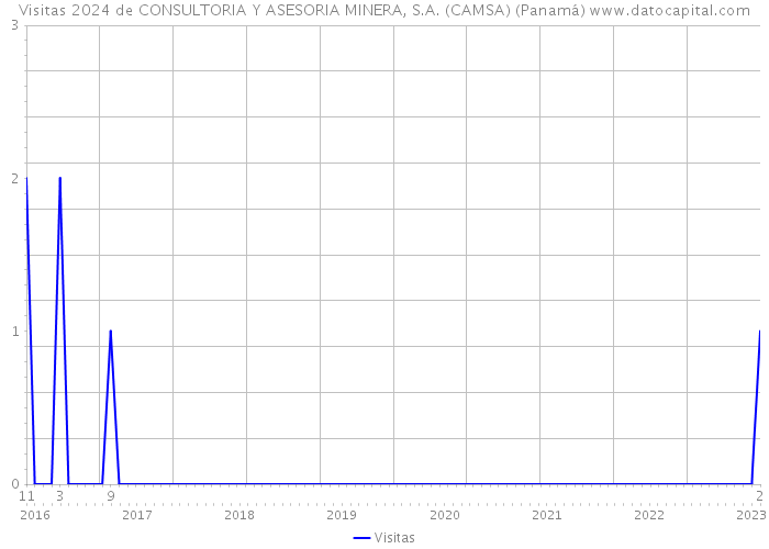 Visitas 2024 de CONSULTORIA Y ASESORIA MINERA, S.A. (CAMSA) (Panamá) 