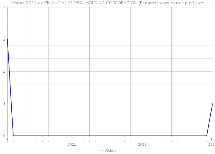 Visitas 2024 de FINANCIAL GLOBAL HOLDING CORPORATION (Panamá) 