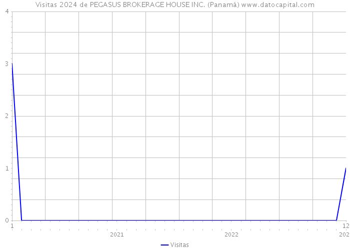 Visitas 2024 de PEGASUS BROKERAGE HOUSE INC. (Panamá) 