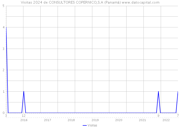 Visitas 2024 de CONSULTORES COPERNICO,S.A (Panamá) 